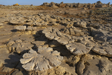 Concretions of salt rocks at Dallol in the Danakil Depression in Ethiopia, Africa.の写真素材