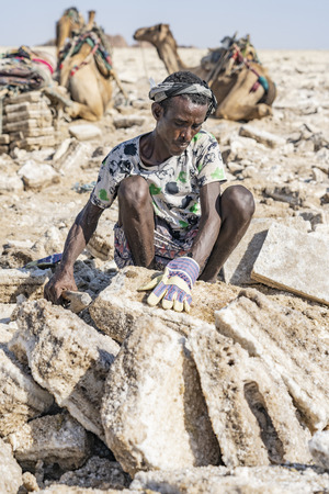 Salt miner working in the salt plains in the Danakil Depression in Ethiopia during winter season.のeditorial素材