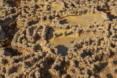 Concretions of salt rocks at Dallol in the Danakil Depression in Ethiopia, Africa.の写真素材