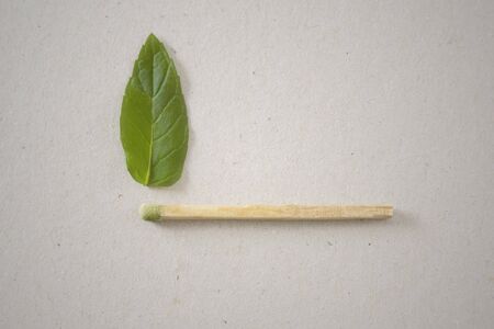 Green match with green flame.の写真素材
