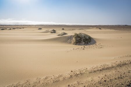 view of the Skeleton Coast desert dunes in Namibia in Africa.