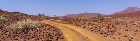 Scenic view of the Palmwag Concession Area with milkbushes in Namibia in Africa.の写真素材