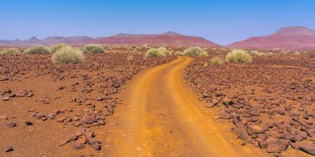 Scenic view of the Palmwag Concession Area with milkbushes in Namibia in Africa.の写真素材