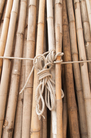 Many of the small pile of bamboo