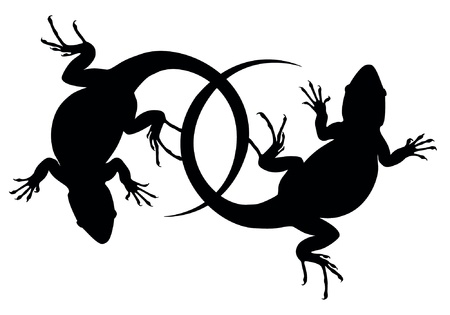 lizard のイラスト素材