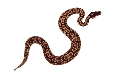 snakeのイラスト素材