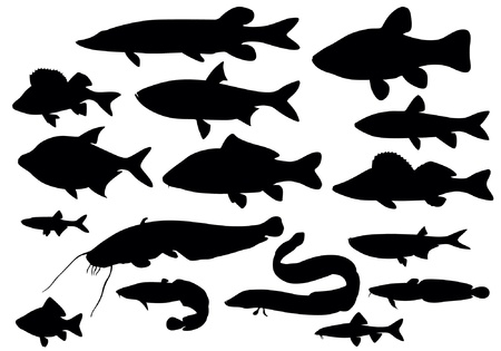fish のイラスト素材