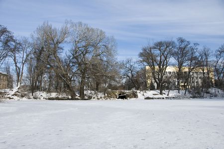 Wonderful winter day with trees covered with white frostの写真素材