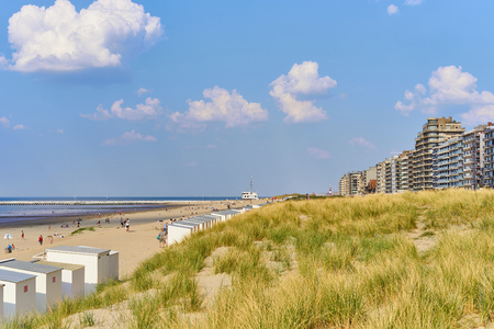Sandy dunes with grass / Beach of Belgium near Nieuwpoortの写真素材