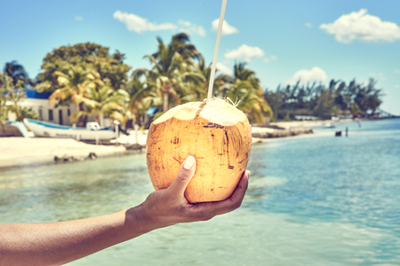 Fresh coconut drinkの写真素材