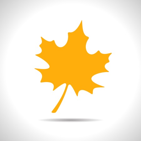 Vector flat isolate maple yellow leaf icon  Eps10のイラスト素材