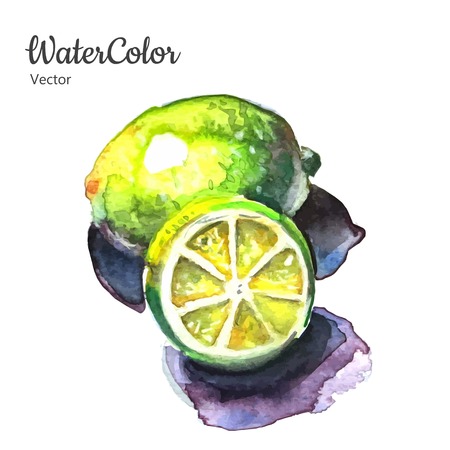 Vector hand painting abstract watercolor lemon illustration.のイラスト素材