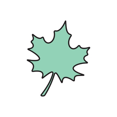 Vector maple leaf icon. Eps10のイラスト素材