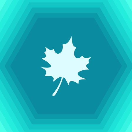 Vector flat maple leaf icon on hexagonal backgroundのイラスト素材