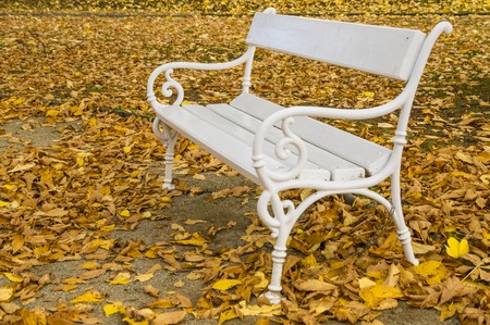white bench in autumnの写真素材