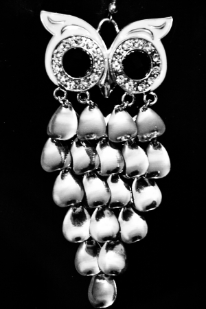 Owl earringの写真素材