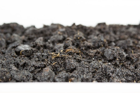 Close-up of organic soilの写真素材