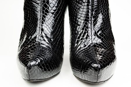 Black female crocodile boots isolated on whiteの写真素材