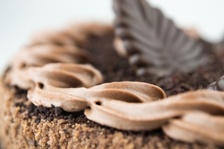 Close-up of a chocolate cakeの写真素材