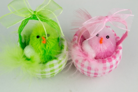 easter composition with chicken の写真素材