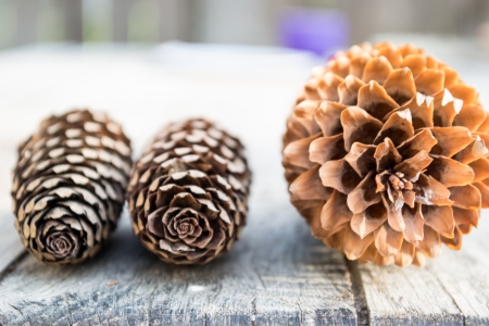 set of cones on a table の写真素材