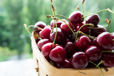 fresh cherriesの写真素材