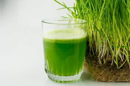 Green Organic Wheat Grass Juice ready to drinkの写真素材