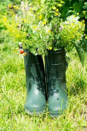 Boot Flowerpot in garden の写真素材