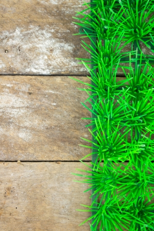 wood and grassの写真素材