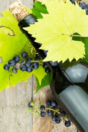 wine bottle and bunch of grapes の写真素材