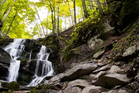 forest waterfall and rocks covered with mossの写真素材