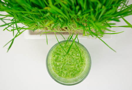 Green Organic Wheat Grass Shot ready to drinkの写真素材
