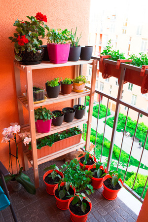 Small herb and flower garden built on small balcony gardenの写真素材