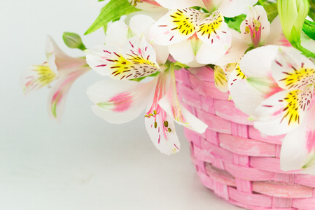 Bouquet of alstroemeria  in wicker basketの写真素材