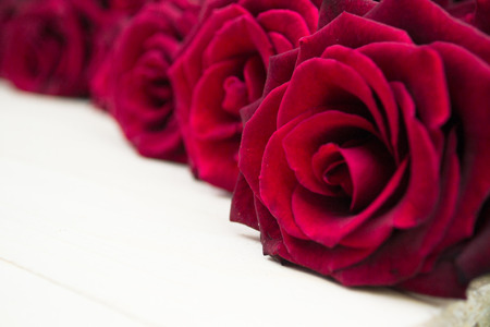 White Wood Background with Rosesの写真素材