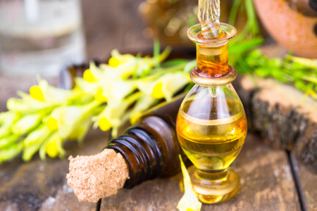 Essential oils and medical flowers herbsの写真素材