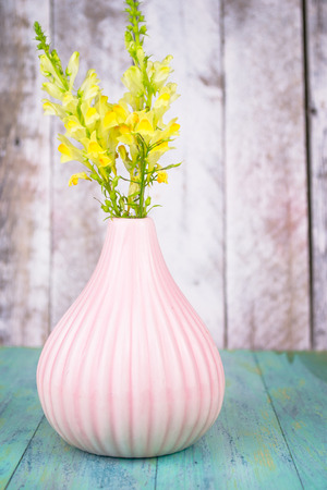 Wild yellow flowers in a vase, bouquet on blue wood backgroundの写真素材