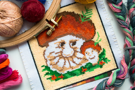 Embroidered mushroom with yarn for colour knitting and tambour