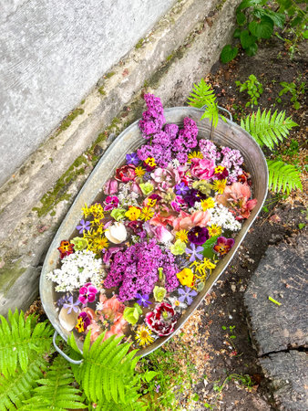 Rustik tin tub with many colored flowers. garden ideasの写真素材