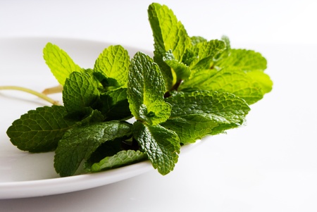 elegance stack of pepper mint on white plate の写真素材