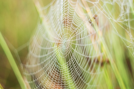 webの写真素材