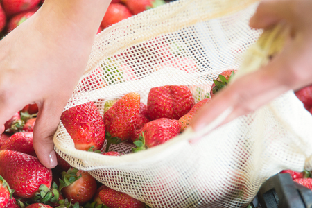 woman is selecting fruits and vegetables on farmers market without plastic bags using cotton. lifestyleの写真素材