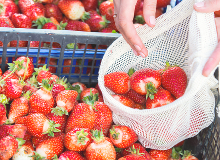 woman is selecting fruits and vegetables on farmers market without plastic bags using cotton....