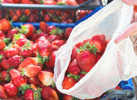 woman is selecting fruits and vegetables on farmers market without plastic bags using cotton. lifestyleの写真素材