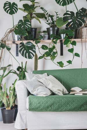 nordic style appartment with tropical flowers decoration. urban jungle interiorの写真素材