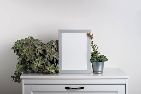 mock up made from photo frame in scandinavian minimalist interior with succulents on gray commode on...