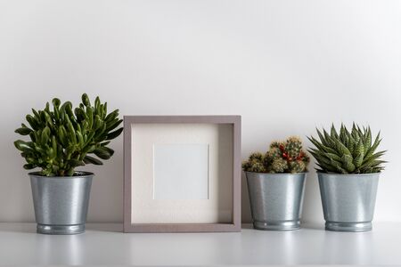 mock up made from photo frame in scandinavian minimalist interior with succulents on gray commode on white backgroundの写真素材