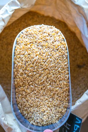 zero waste shoppingの写真素材