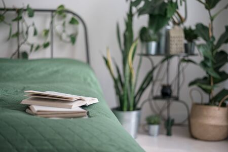 cosy light bedroom with tropical flowers decoration. urban jungle interiorの写真素材