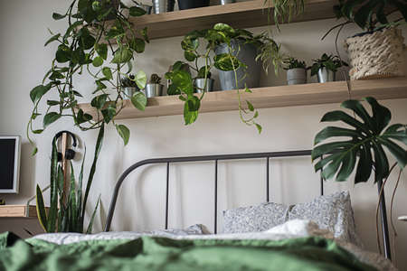 urban jungle interiour with tropical frowers in bedroomの写真素材